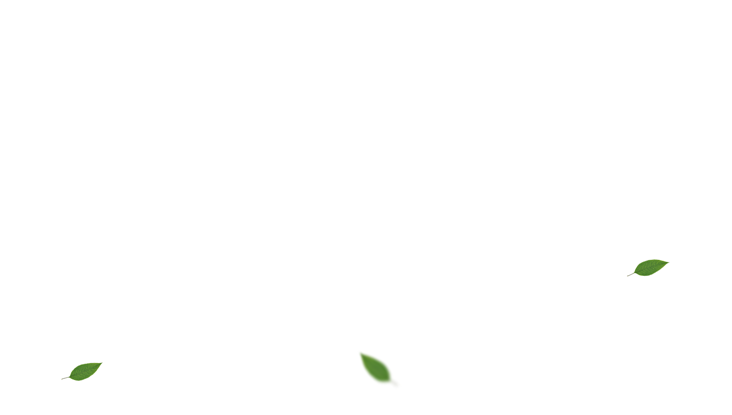 Premium Leaves Decoration